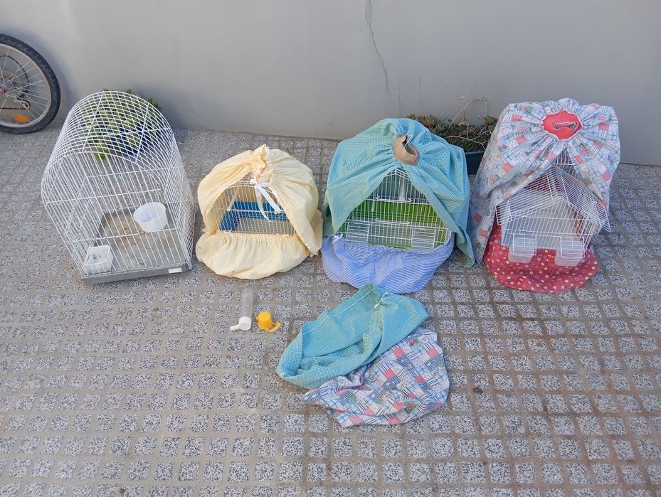 Gaiolas varias ...