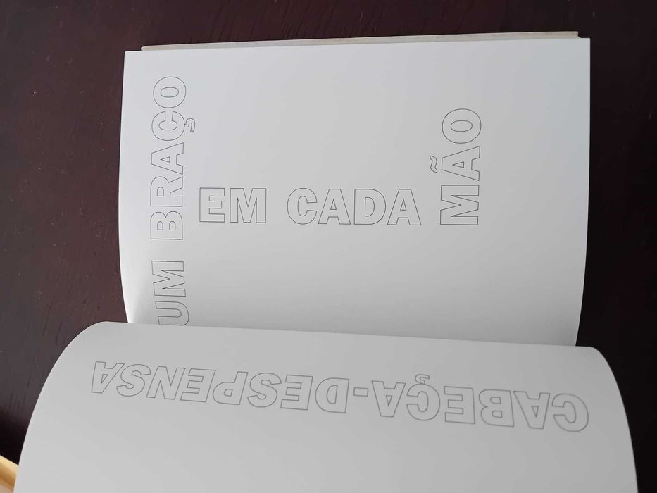 arnaldo antunes - palavra desordem