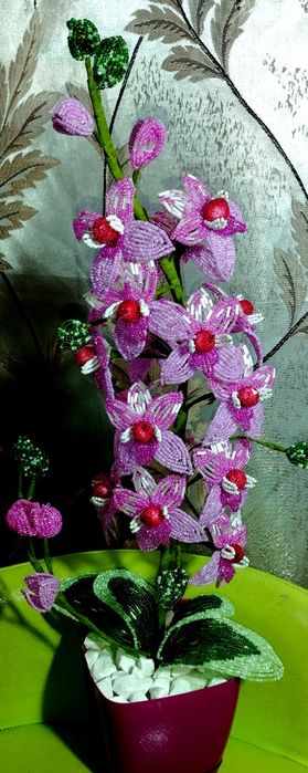 Орхідея із бісеру