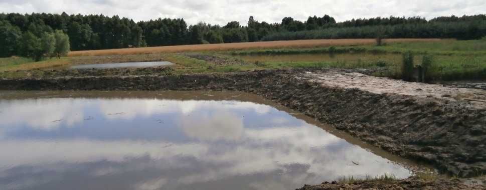 Kopanie, Czyszczenie stawów Lekka koparka linowa Odmulanie Pogłębianie
