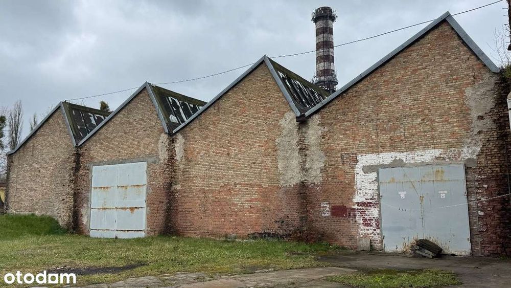 Magazyn 5970m2, 1/2, udziału Mazowieckie Sochaczew