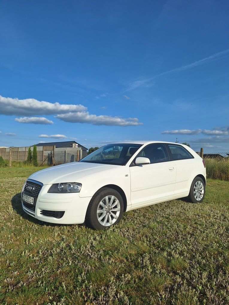 Audi A3 8P lifting