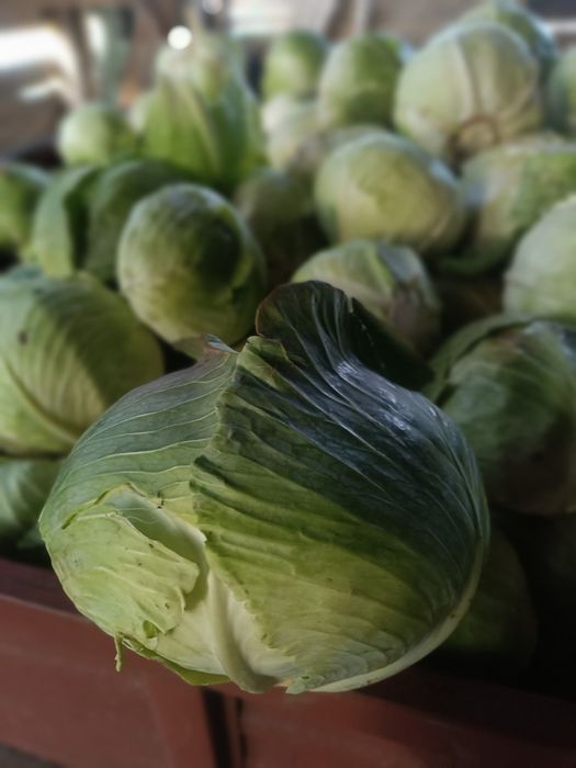 warzywa burak marchew kapusta ziemniaki myte