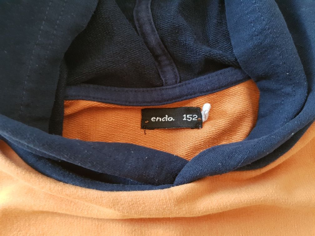 Bluza z kapturem Endo 152, tygrys