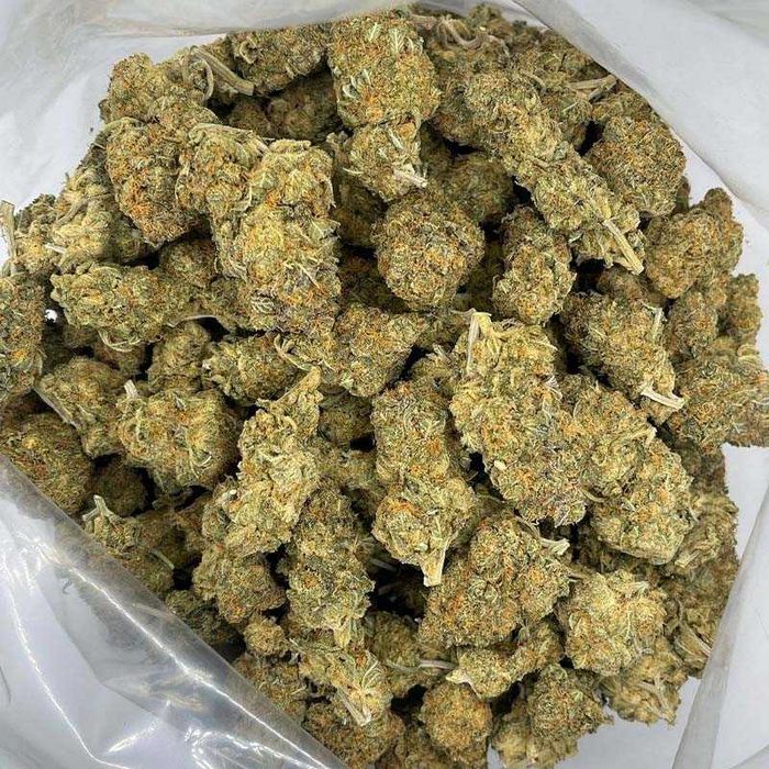 2g Amnesia Haze 36% EXCLUSIVE Mega boby