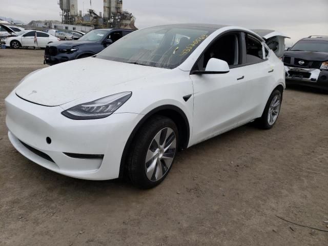 Двері tesla model 3