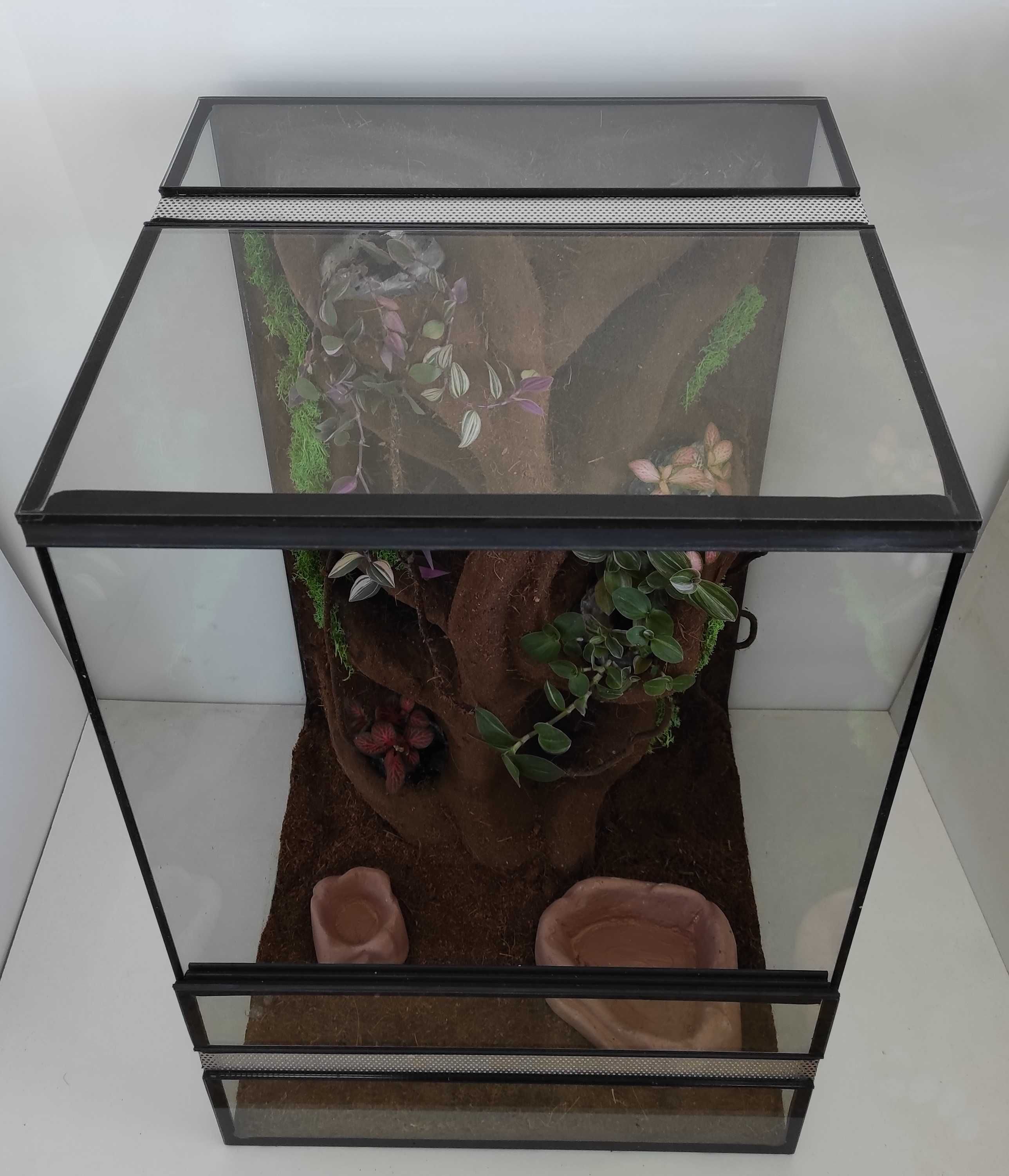 Terrarium dla gekona orzęsionego z roślinami, TW34R, AquaWaves