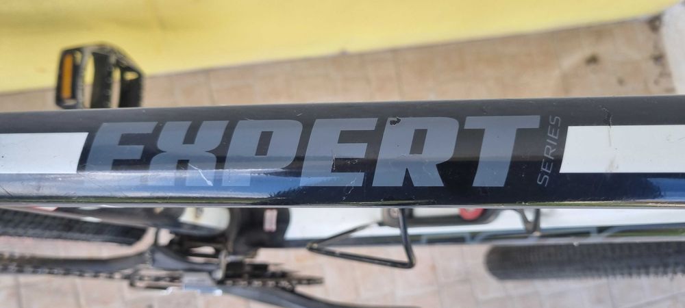 Hardtail BERG Trail Expert 4.0