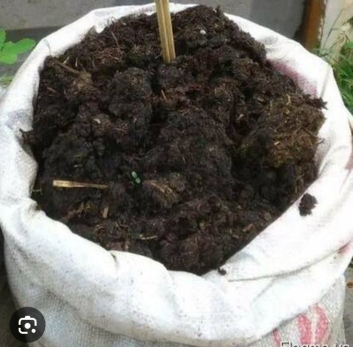 Перегной в мешках недорого