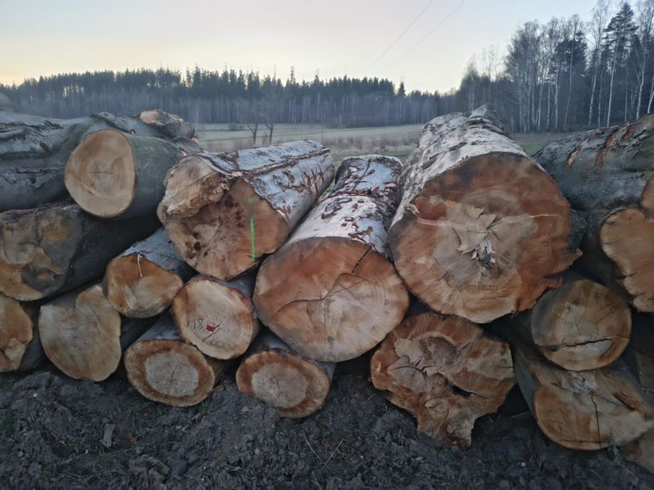 Drewno opałowe kominkowe buk