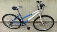 Bicicleta azul adulto 26”