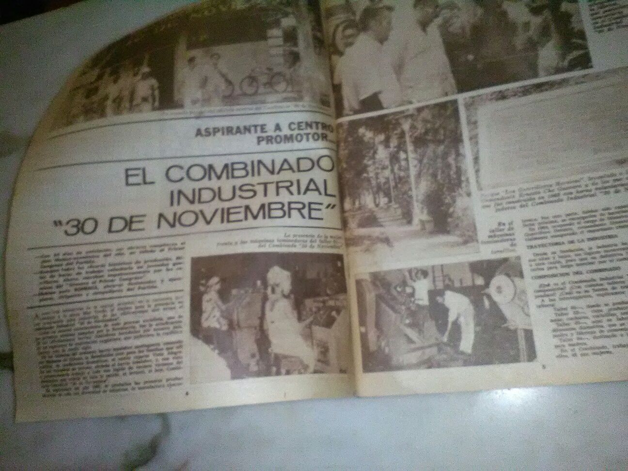 Revista Antiga Bohemia