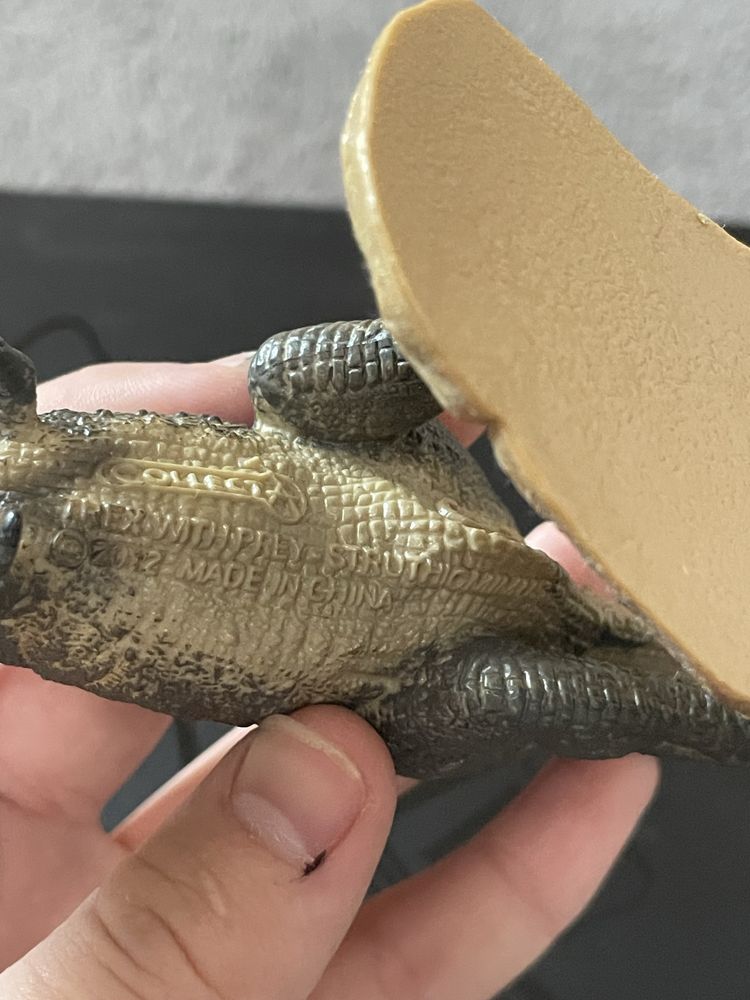Dinozaur colecta