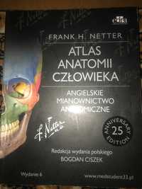 Atlas Anatomii Człowieka Netter