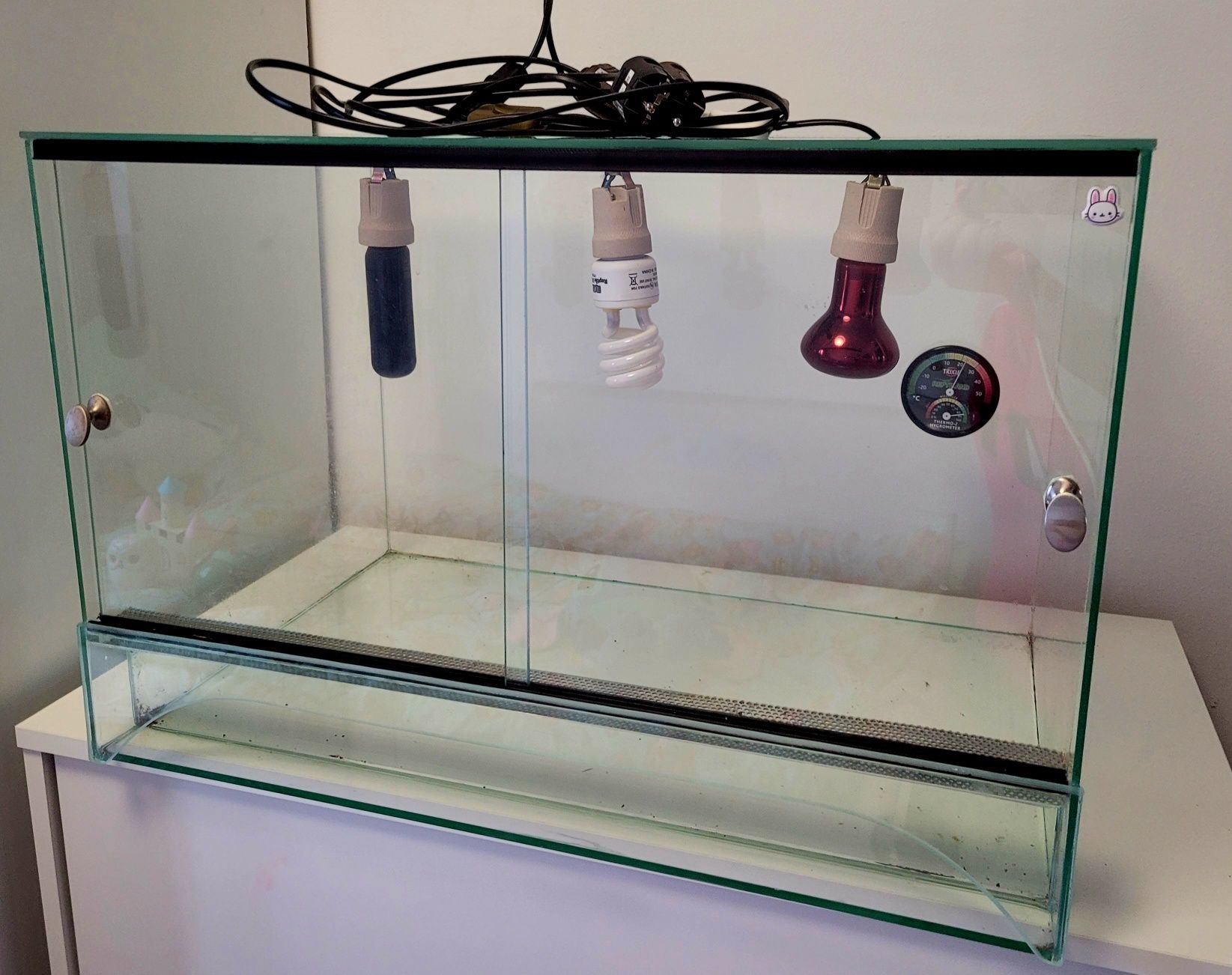 Terrarium z lampami
