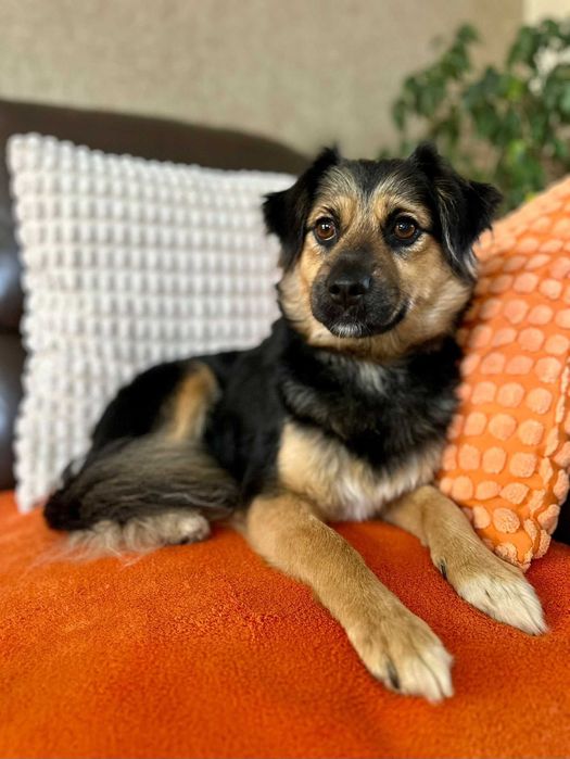 Podaruj jej dom! Mała Arizona!