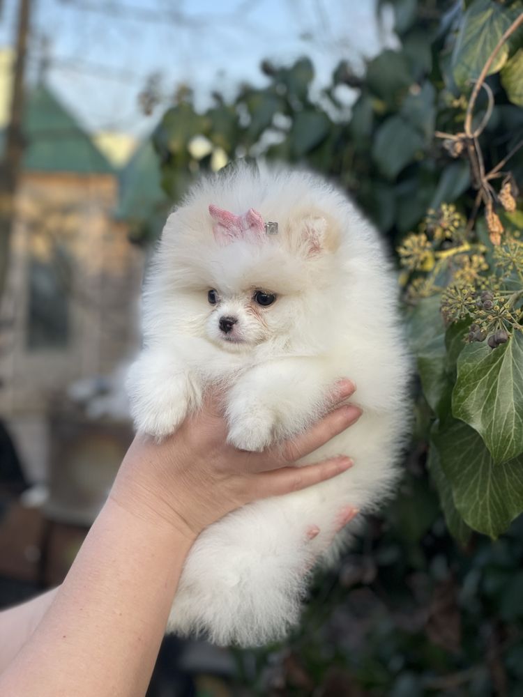 Гарненький хлопчик та дівчинка