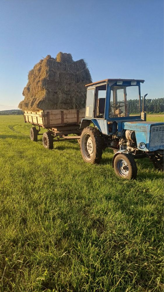 Лугове сіно продам недорого