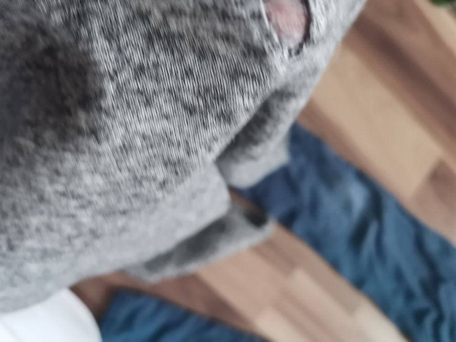 Spodnie dla chłopca ok 120