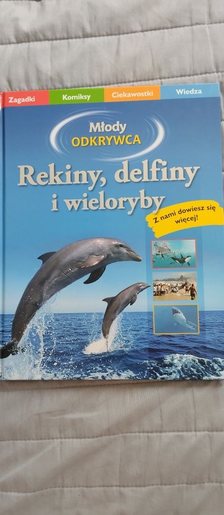 Rekiny delfiny i wieloryby Młody odkrywca