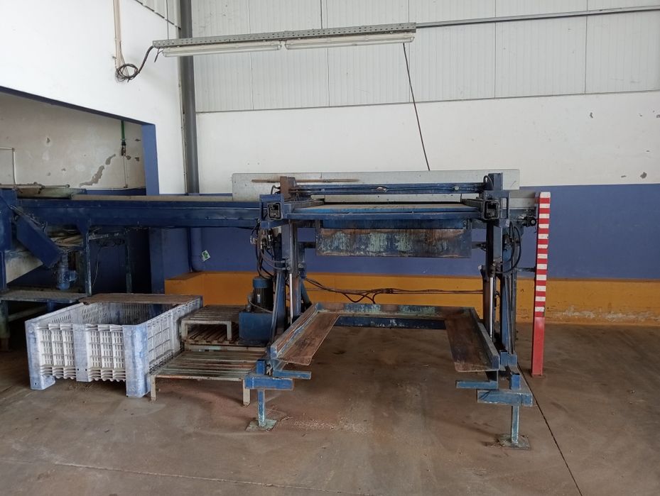 Calibrador de frutas e máquina de citrinos