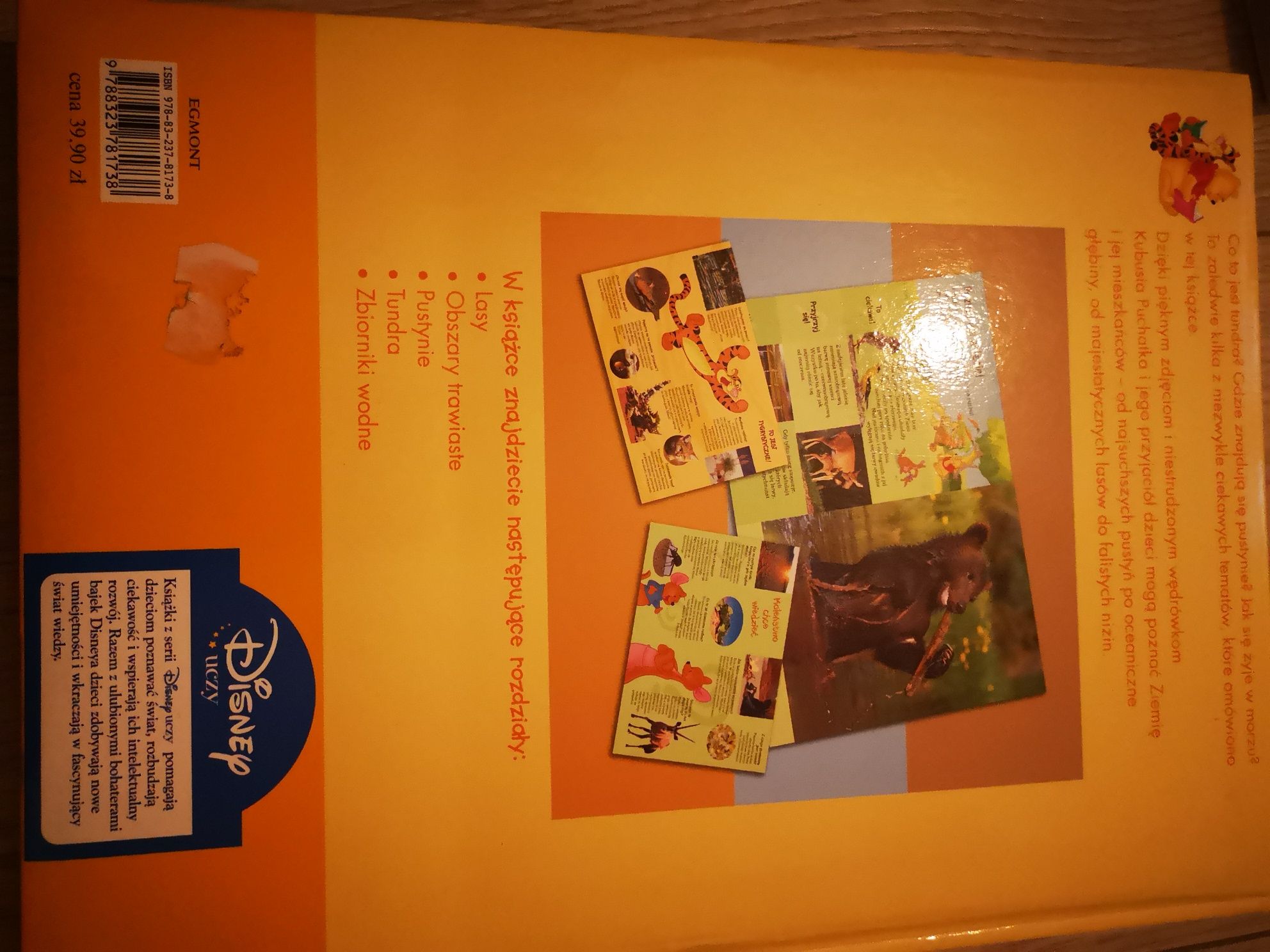 Encyklopedia Ziemia