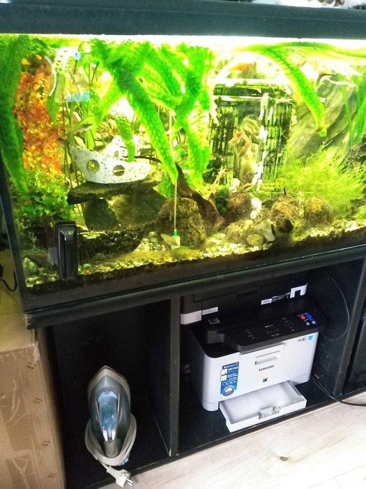 sprzedam akwarium 300l