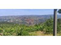 Quintinha em Cinfães do Douro