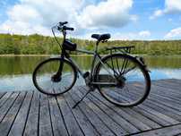 Sprzedam Gazelle Punta