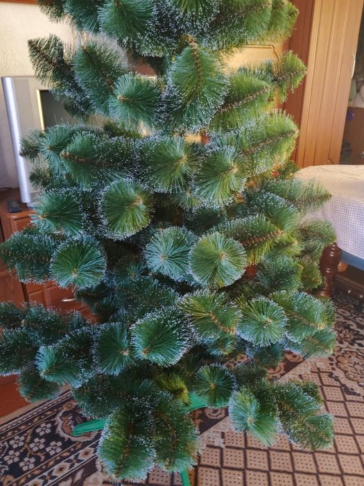 Продам ялинку 2.30 м висоти
