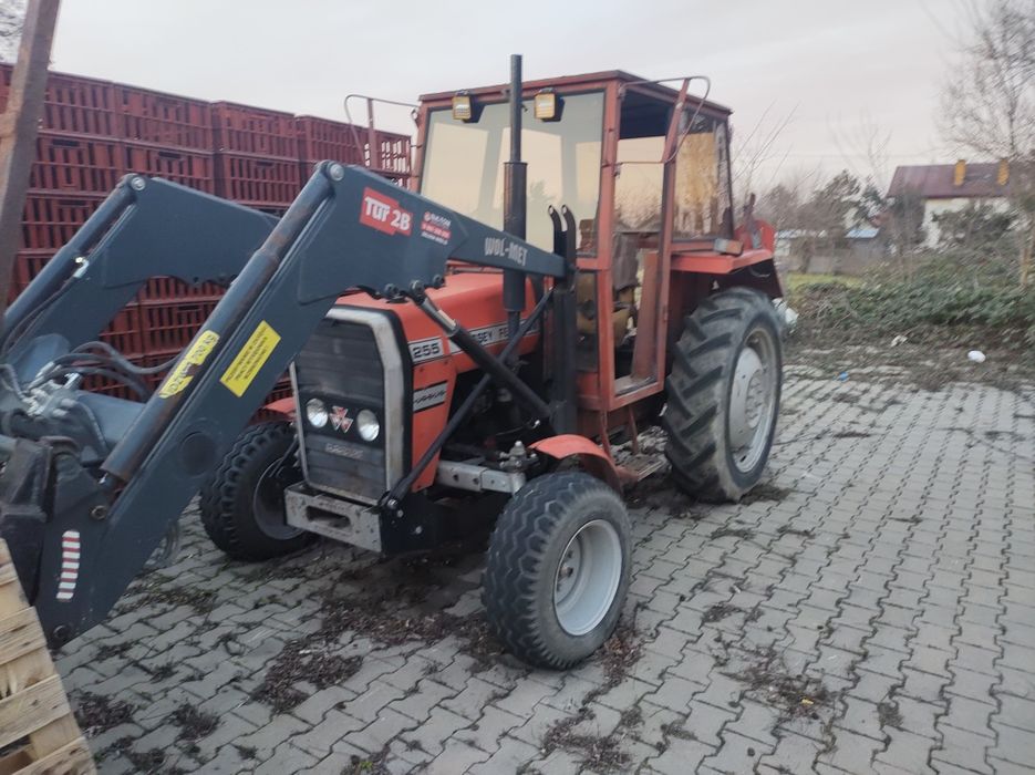 Ciągnik rolniczy MF255 z turem