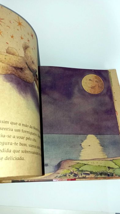 Ursinho Mágico - livro infantil