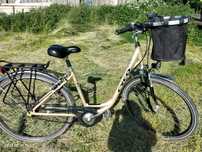 Rower damski CYCO