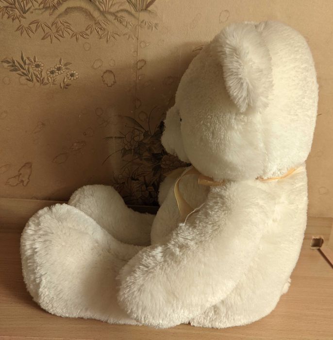 Милий плюшевий ведемедик шукає новий дім