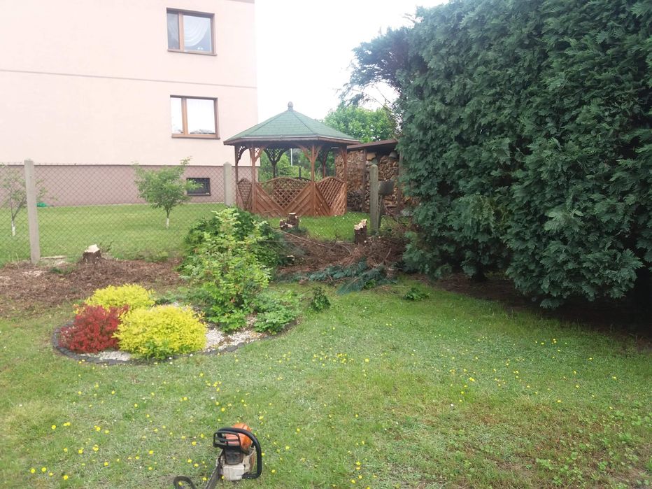 Sprzątanie działek