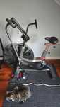 Sprzedam rower powietrzny Shwinn Air Dyne ad8
