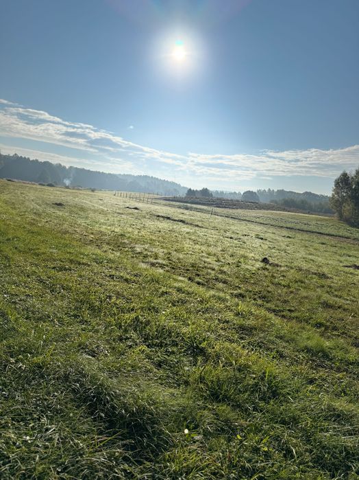Działki Strzaliny