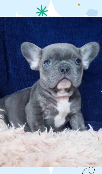 Міні хлопчик блакитний