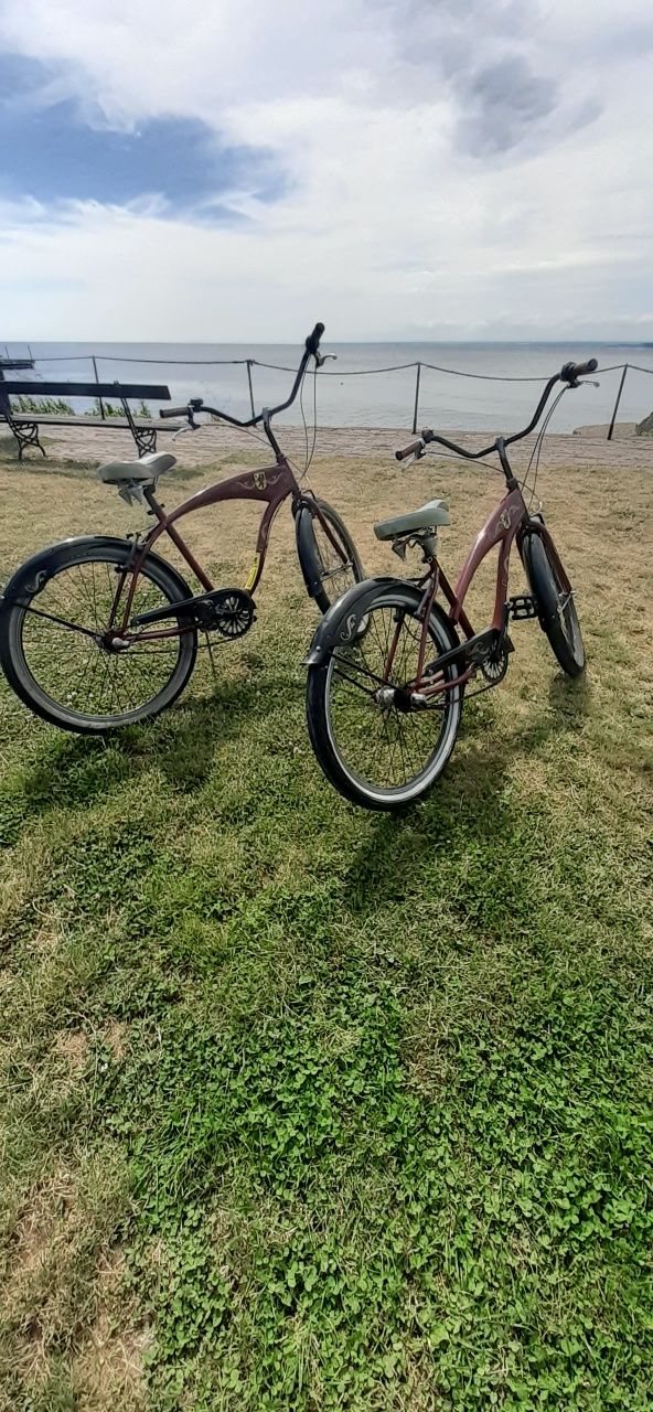 Rower cruiser Pantherbike