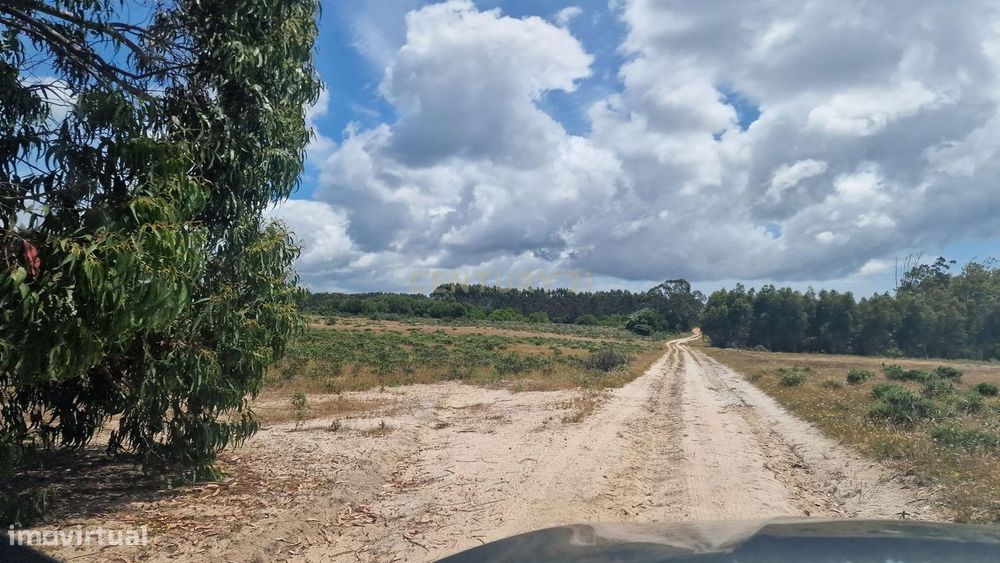 Terreno Rustico com 6000m2 em Vila do Bispo