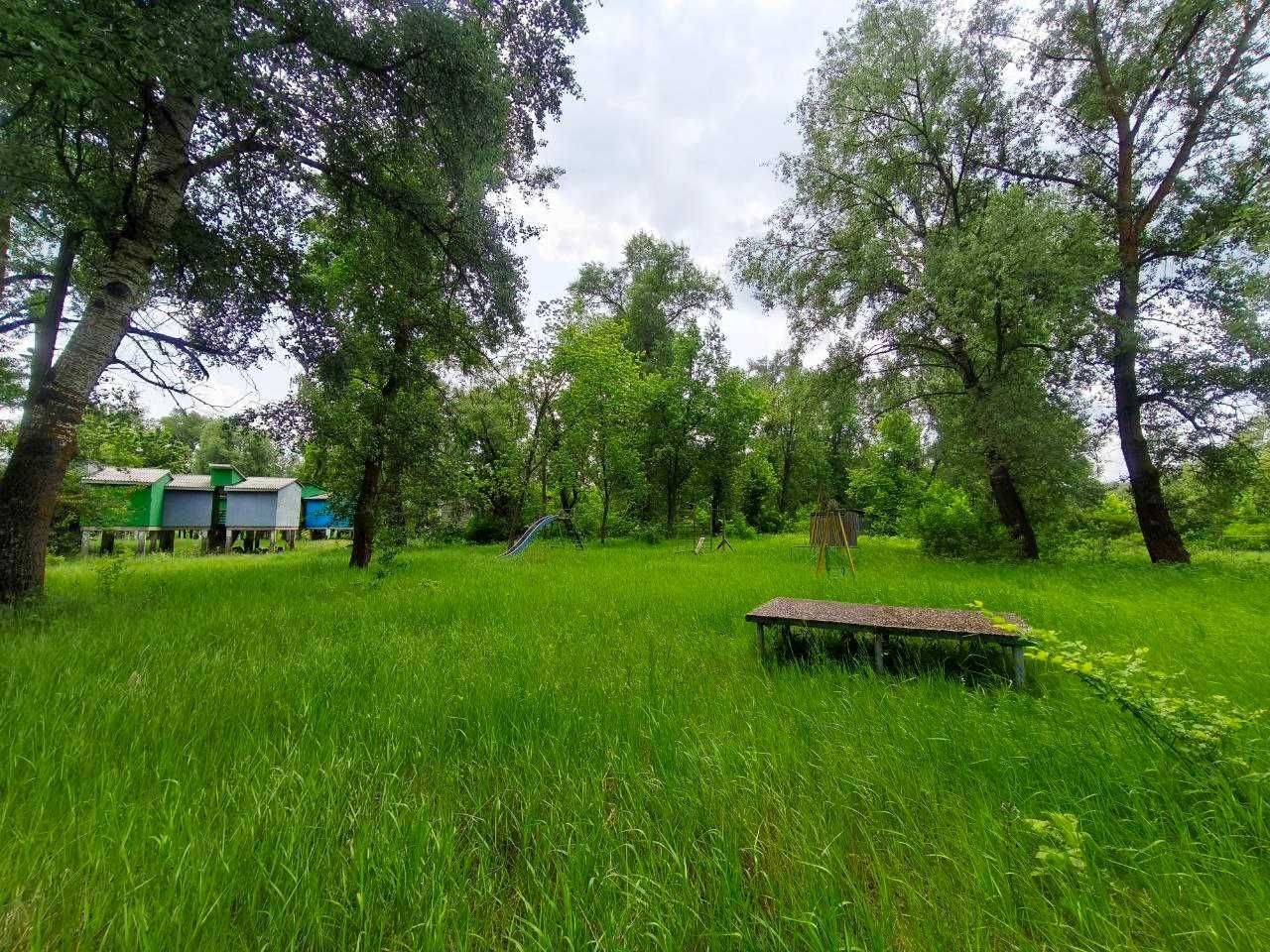 База відпочинку Золотий Берег Ладинка р.Десна, 20 хв від Чернігова(SP)