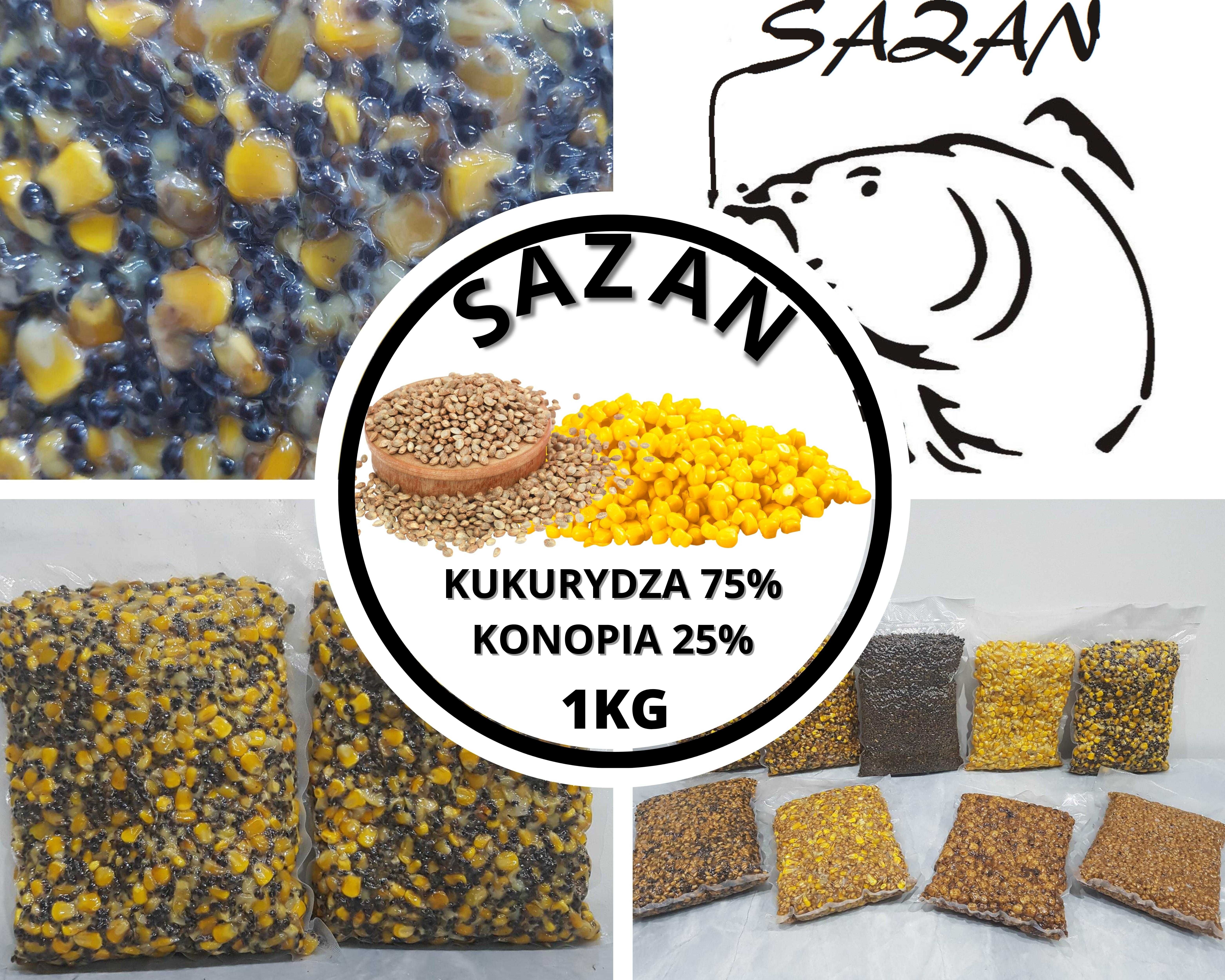 10 kg Kukurydza z konopią ZANĘTA WĘDKARSKA Sazan Baits