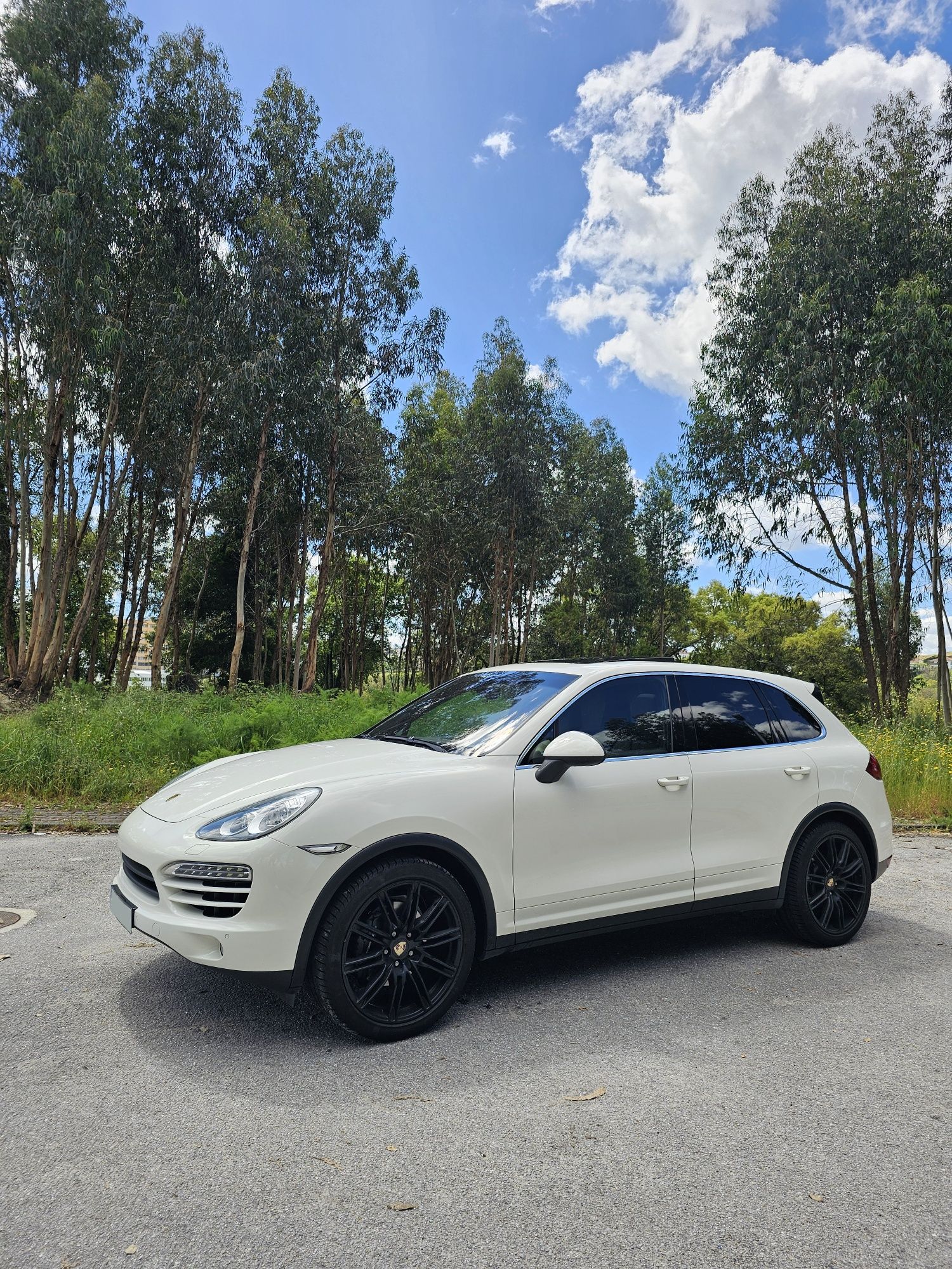 Porsche Cayenne Diesel Nacional