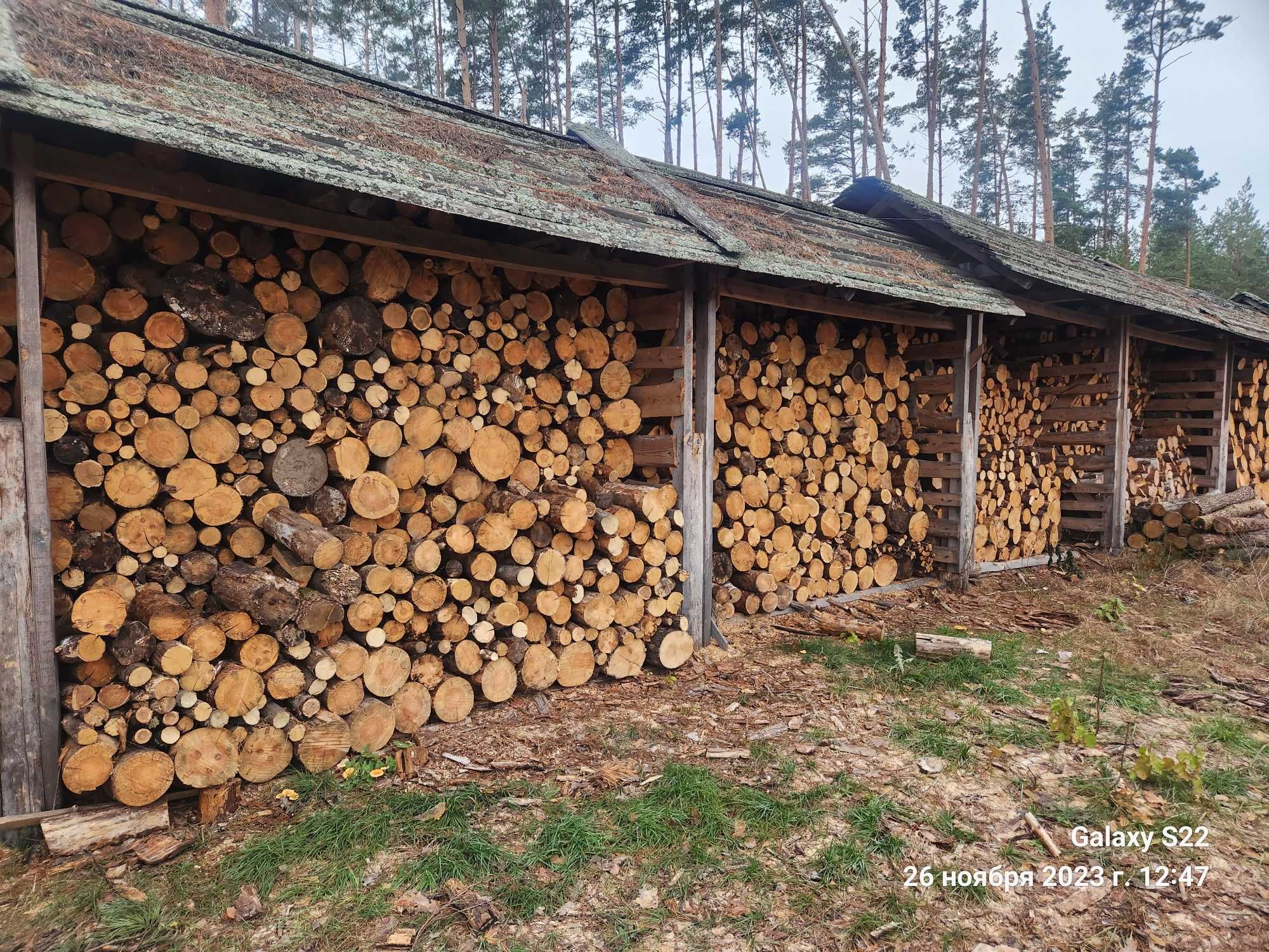 Продам дрова Сосна,  Дуб, Береза