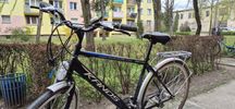 Rower męski Kands 28cali