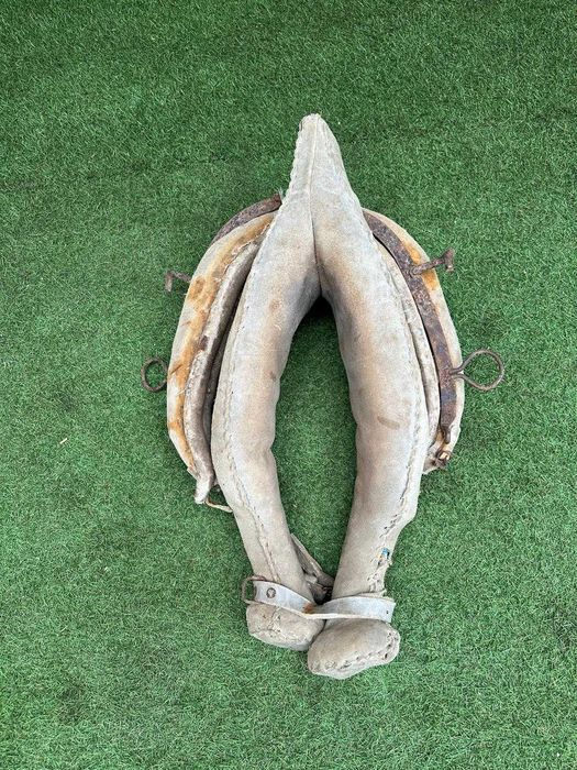 Jugo antigo, canga ou Coelheira para bovino