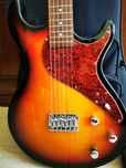 Line 6 variax 500