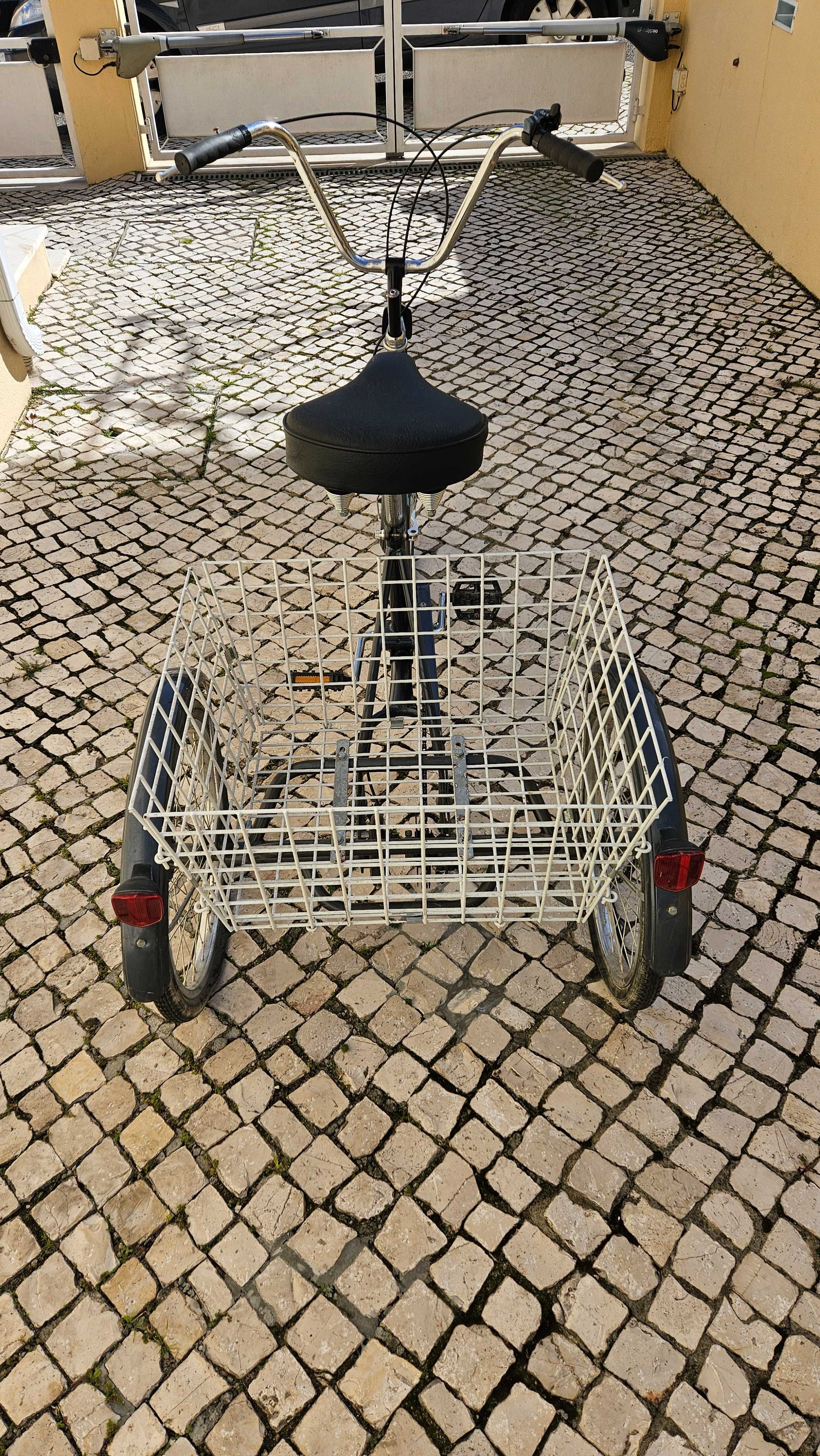 Bicicleta de adulto com 3 rodas