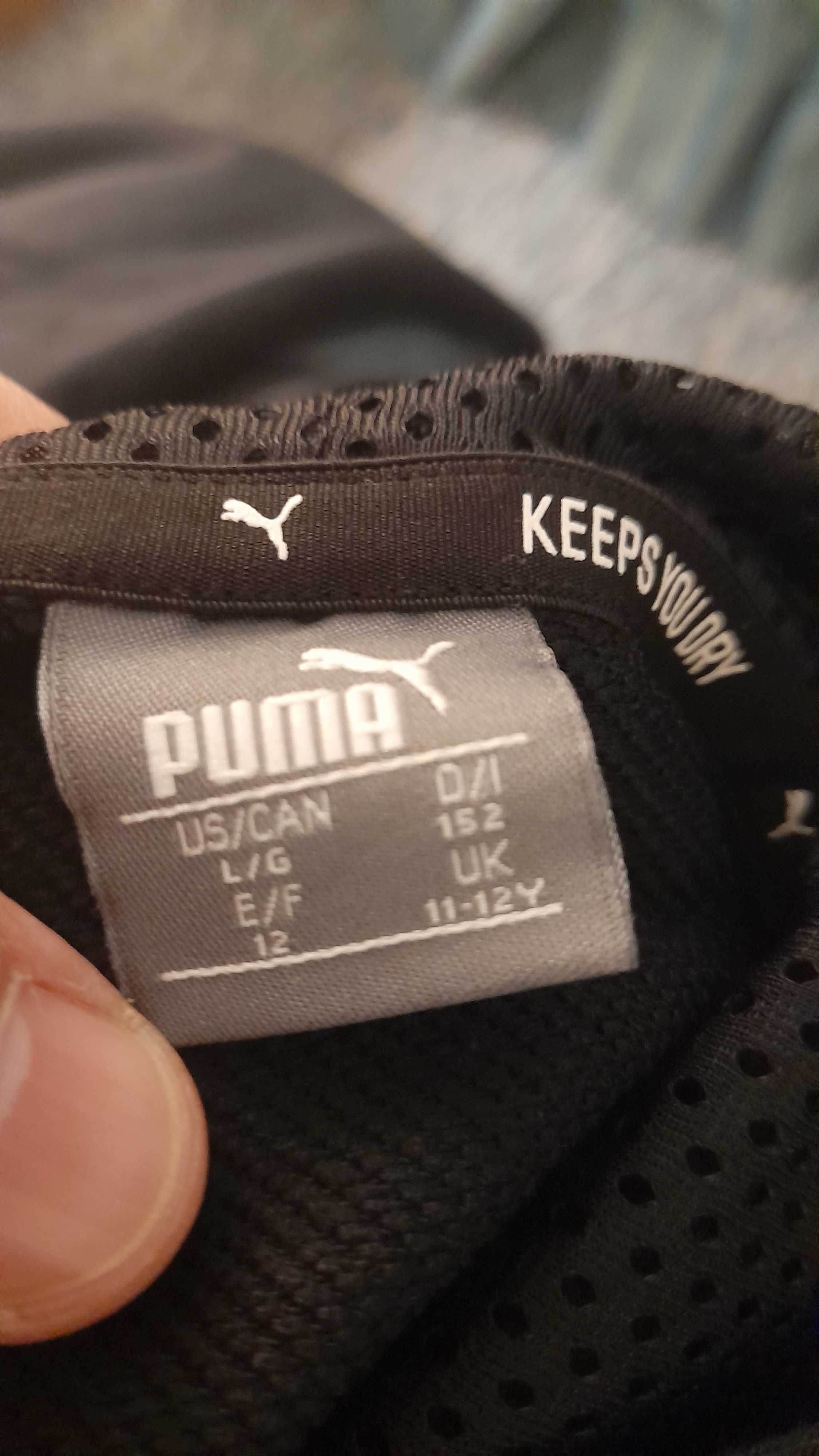 Sweat Puma Nova 11-12 Anos