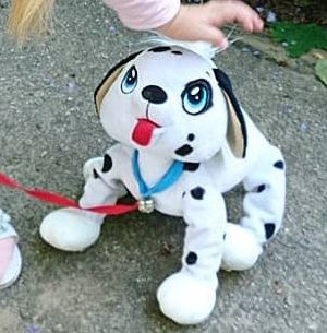 Комплементарний пес